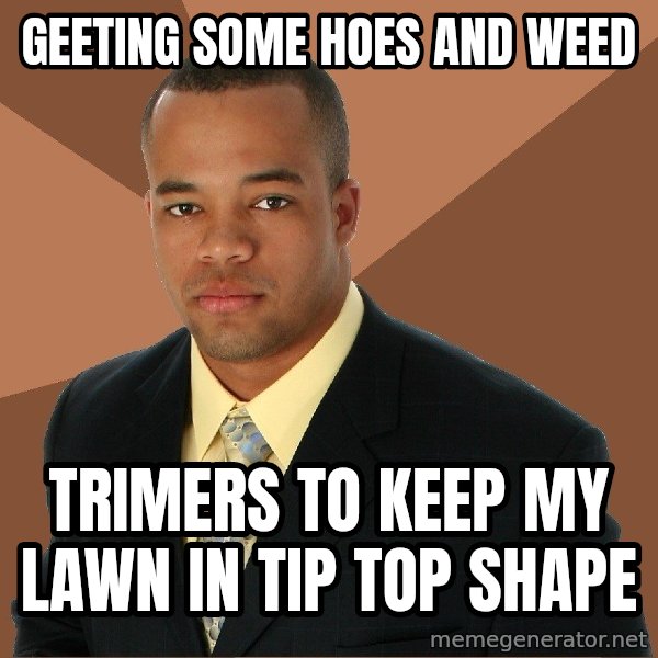 Successful Black Man meme: Geeting some hoes and weed / trimers to keep my lawn in tip top shape