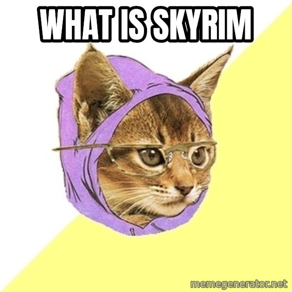 Hipster Kitty meme: What is skyrim
