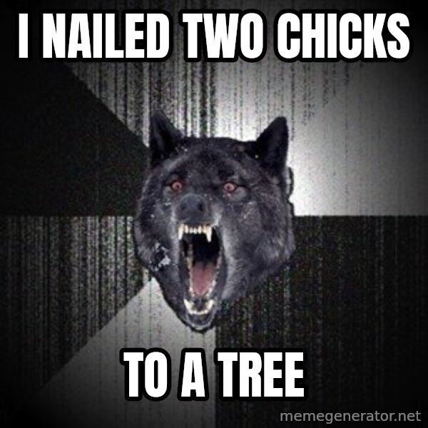 Insanity Wolf meme: I NAILED TWO CHICKS / TO A TREE