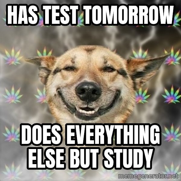 Stoner Dog meme: Has TEST TOMORROW / DOES EVERYTHING ELSE BUT STUDY