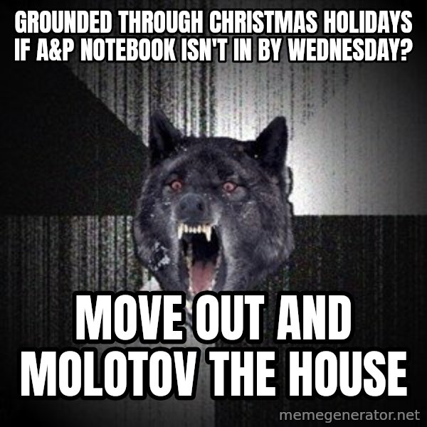 Insanity Wolf meme: Grounded through christmas holidays if a&p notebook isn't in by wednesday? / Move out and Molotov the house