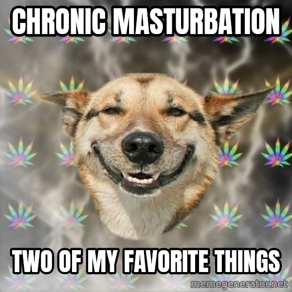Stoner Dog meme: Chronic Masturbation / two of my favorite things