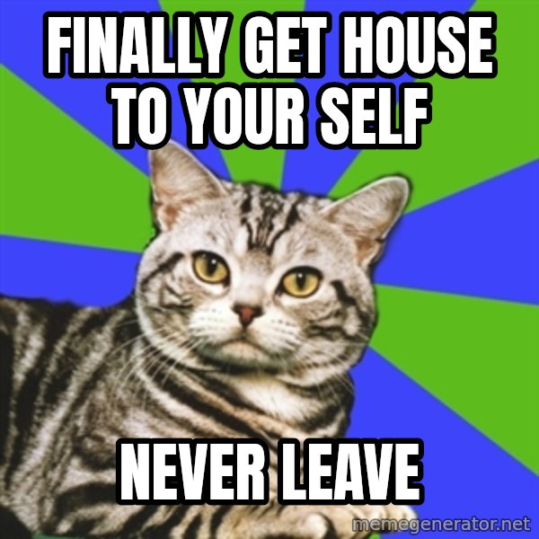 Introvert Cat meme: FINALLY get house to your self / Never leave