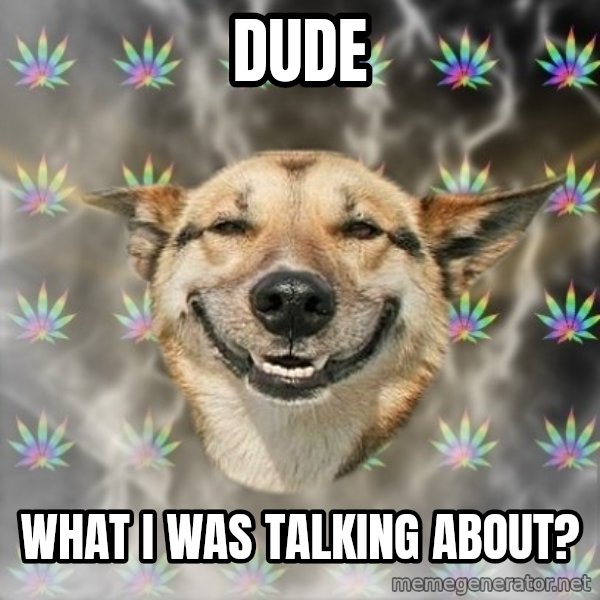 Stoner Dog meme: Dude / what i was talking about?