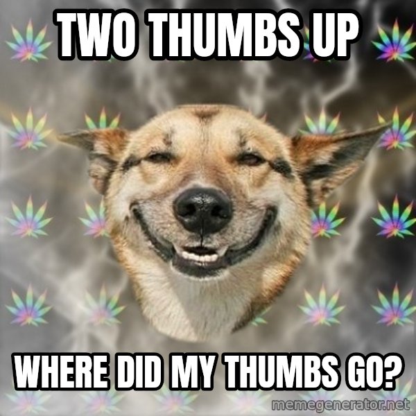 Stoner Dog meme: two thumbs up / Where did my thumbs go?