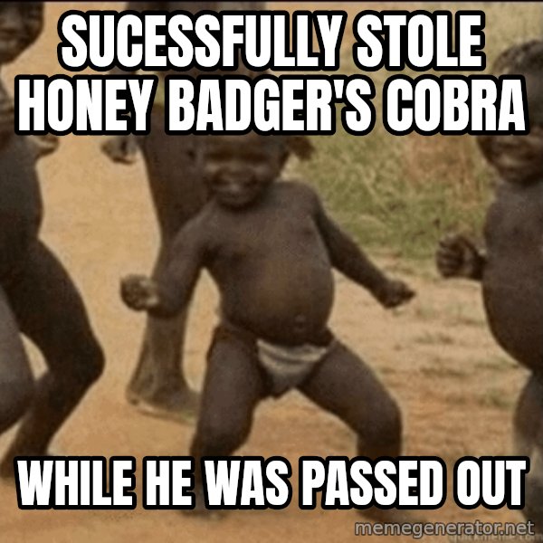 Third World Success meme: Sucessfully stole honey badger's cobra / while he was passed out