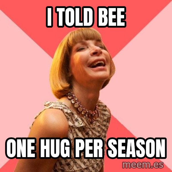 Amused Anna Wintour meme: i told bee / one hug per season