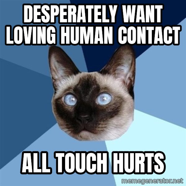 Chronic Illness Cat meme: Desperately want loving human contact / all touch hurts
