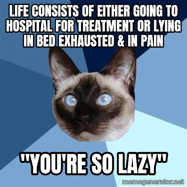 Chronic Illness Cat meme: Life consists of either going to hospital for treatment or lying in bed exhausted & in pain / "You're so lazy"