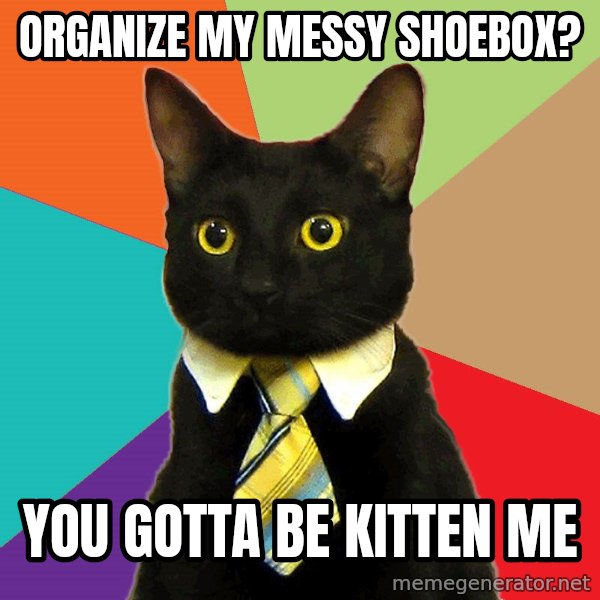 Business Cat meme: organize my messy shoebox? / you gotta be kitten me