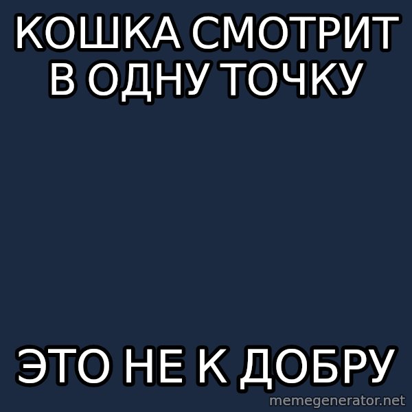 superami crazy meme: кошка смотрит в одну точку / это не к добру