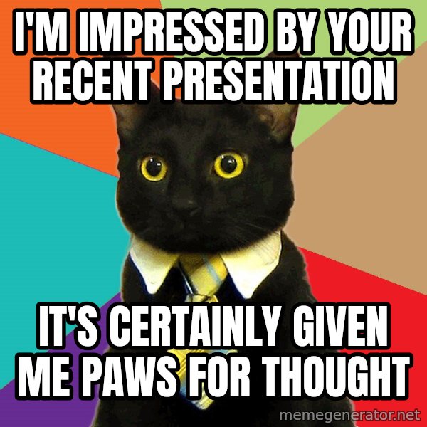 Business Cat meme: I'm impressed by your recent presentation / it's certainly given me paws for thought