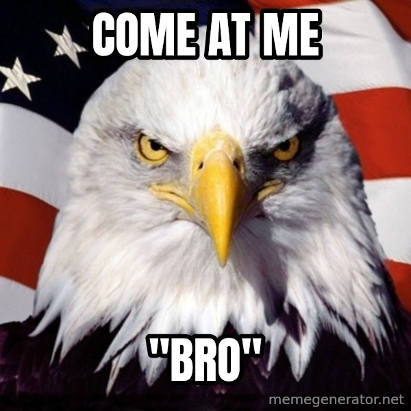 American Pride Eagle meme: come at me / "bro"