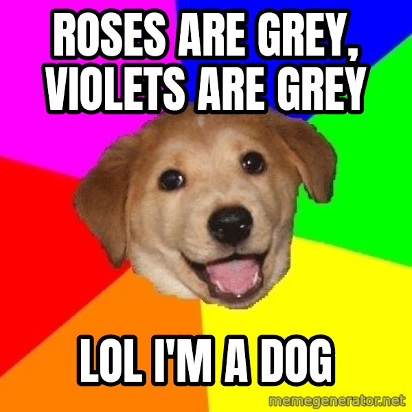 Advice Dog meme: Roses are Grey, Violets are Grey / LOL I'm a dog
