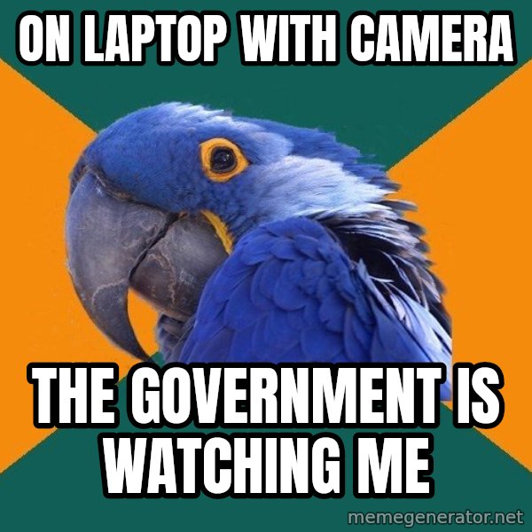 Paranoid Parrot meme: on laptop with camera / the government is watching me