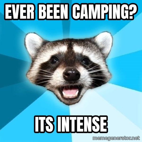 Lame Pun Coon meme: EVER BEEN CAMPING? / ITS INTENSE