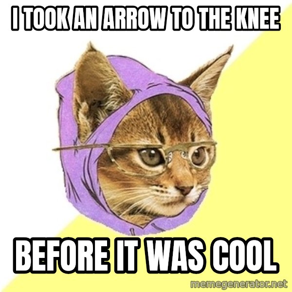 Hipster Kitty meme: i took an arrow to the knee / before it was cool