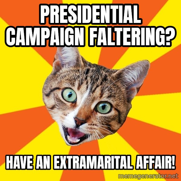 Bad Advice Cat meme: Presidential Campaign Faltering? / have an extramarital affair!