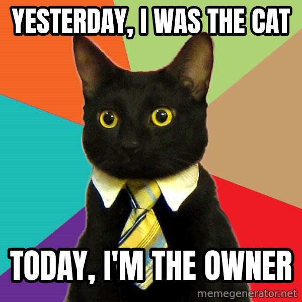 Business Cat meme: Yesterday, I was the cat / Today, i'm the owner