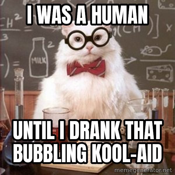 Chemistry Cat meme: I was a human / until I drank that bubbling kool-aid