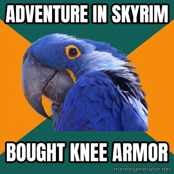 Paranoid Parrot meme: adventure in skyrim / bought knee armor