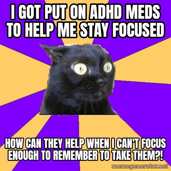 Anxiety Cat meme: i Got put on ADHD meds to help me stay focused / how can they help when I can't focus enough to remember to take them?!