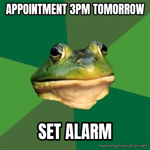 Foul Bachelor Frog meme: appointment 3pm tomorrow / set alarm