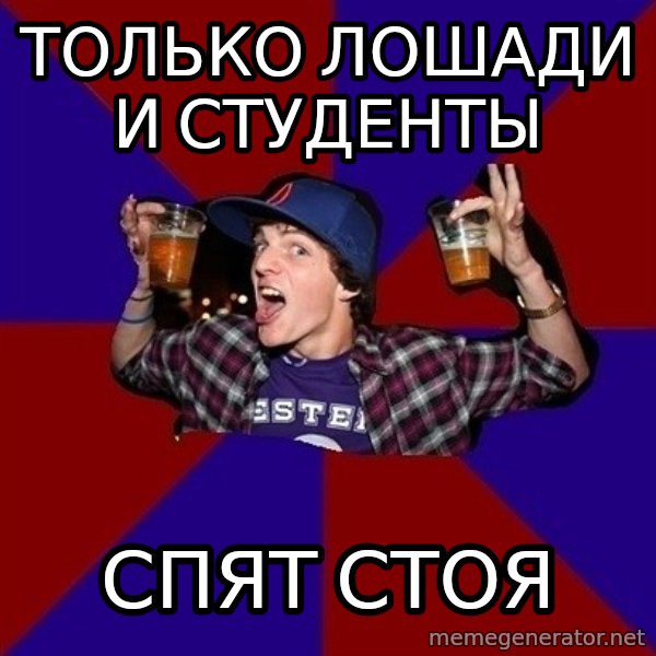 Sunny Student meme: только лошади     и студенты / спят стоя