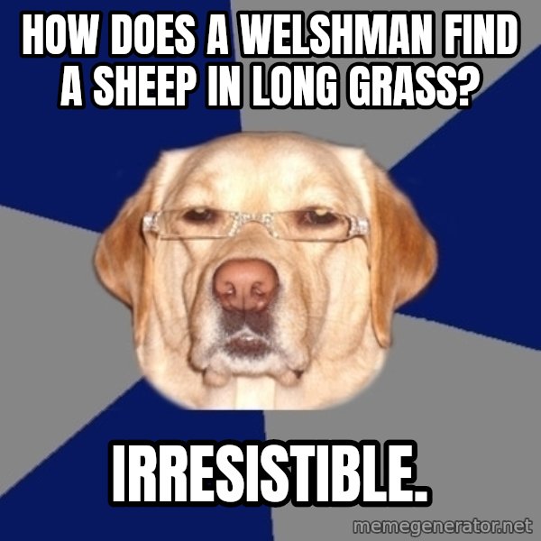 Racist Dog meme: how does a welshman find a sheep in long grass? / irresistible.