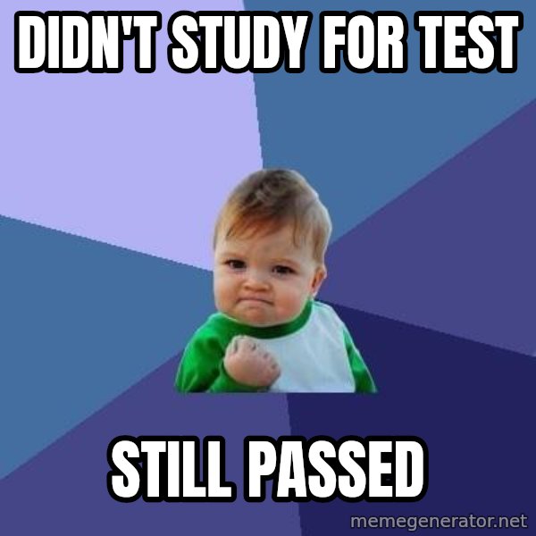 Success Kid meme: Didn't study for test / still passed