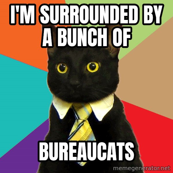 Business Cat meme: I'm Surrounded by a bunch of / Bureaucats