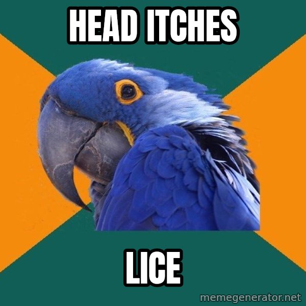 Paranoid Parrot meme: Head itches / lice