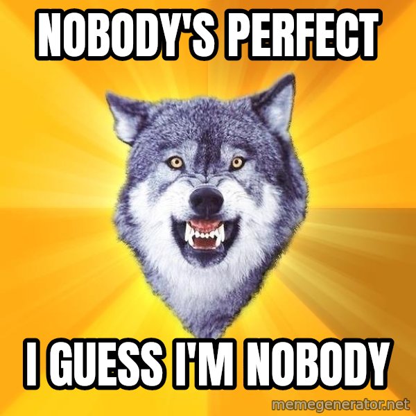Courage Wolf meme: Nobody's perfect / i guess i'm nobody