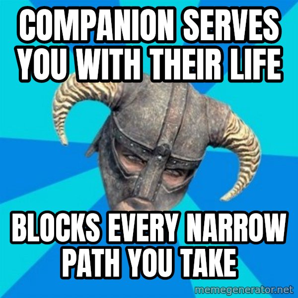 skyrim stan meme: Companion serves you with their life / blocks every narrow path you take