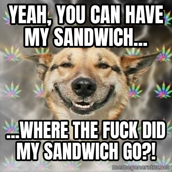 Stoner Dog meme: Yeah, you can have my sandwich... / ...where the fuck did my sandwich Go?!