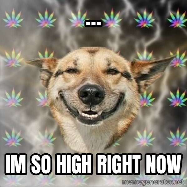 Stoner Dog meme: ... / im so high right now