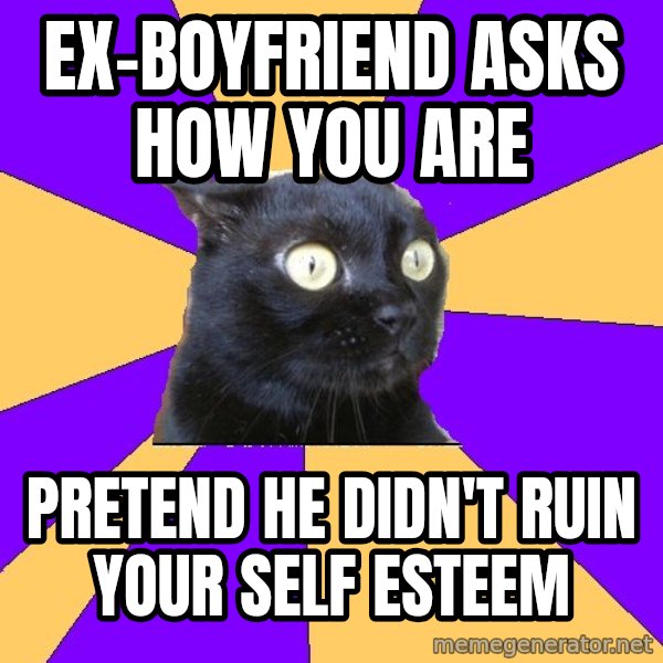 Anxiety Cat meme: ex-boyfriend asks how you are / pretend he didn't ruin your self esteem