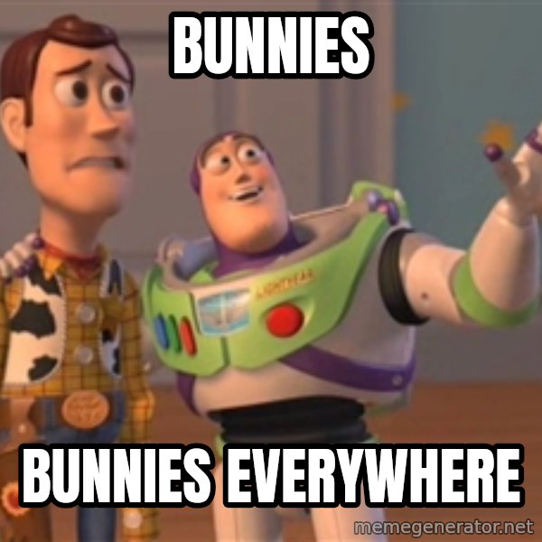 Tseverywhere meme: bunnies / bunnies everywhere