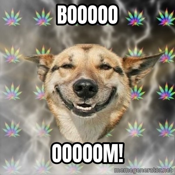 Stoner Dog meme: BOOOOO / OOOOOM!
