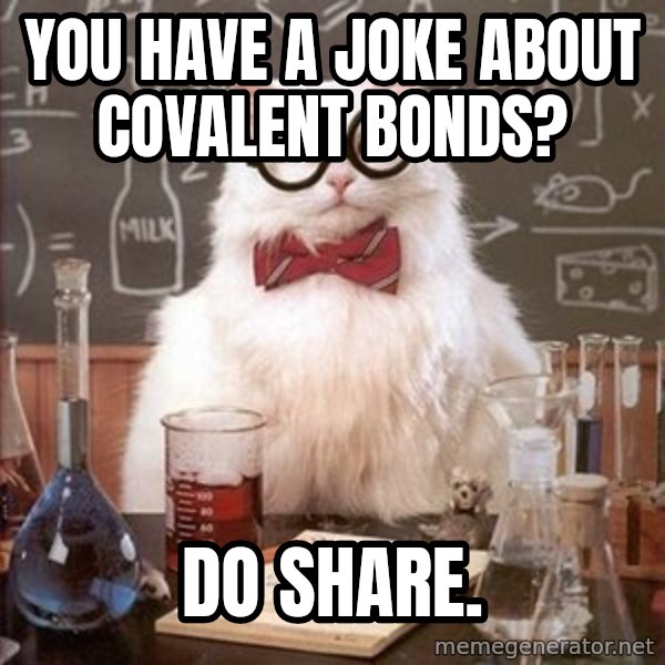 Chemistry Cat meme: You have a joke about covalent bonds? / do share.