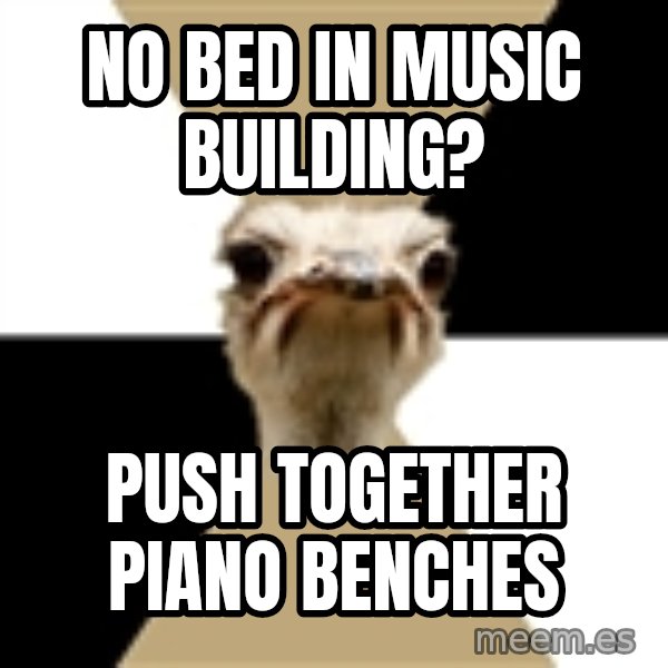 Music Major Ostrich meme: No bed in Music building? / Push together piano benches