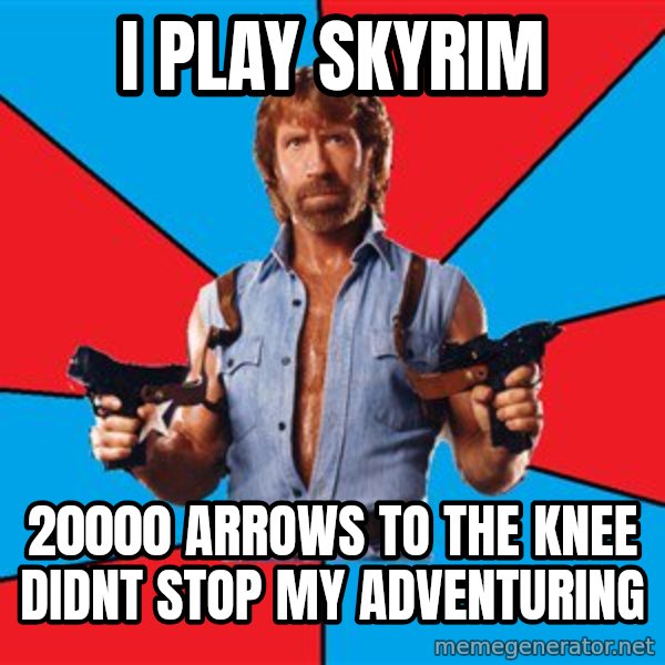 Chuck Norris  meme: i play skyrim / 20000 arrows to the knee didnt stop my adventuring