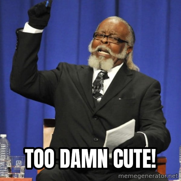 Rent Is Too Damn High meme: TOO DAMN CUTE!