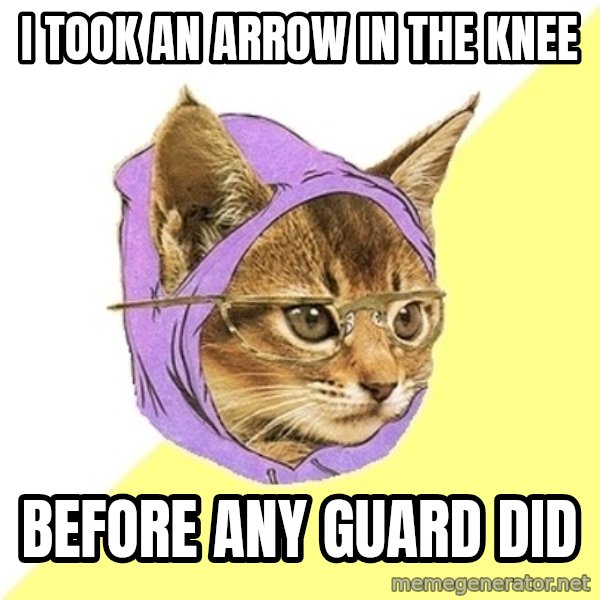 Hipster Kitty meme: i took an arrow in the knee / before any guard did