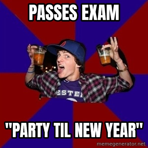 Sunny Student meme: passes exam / "party til new year"