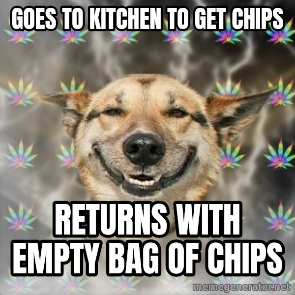 Stoner Dog meme: goes to kitchen to get chips / returns with empty bag of chips