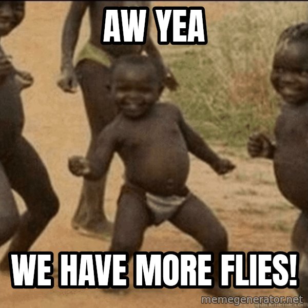 Third World Success meme: aw yea / we have more flies!