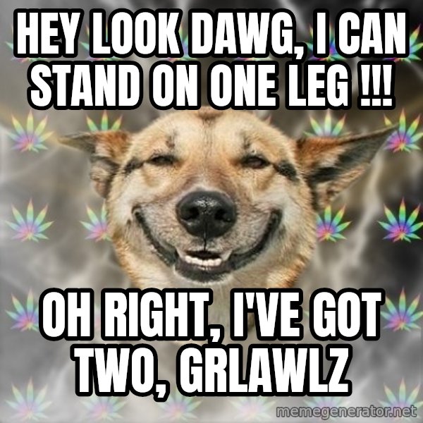 Stoner Dog meme: hey look dawg, i can stand on one leg !!! / oh right, i've got two, grlawlz