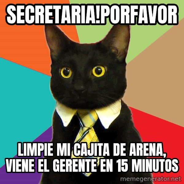Business Cat meme: Secretaria!porfavor / limpie mi cajita de arena, viene el gerente en 15 minutos
