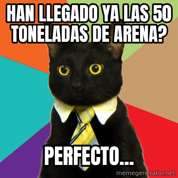 Business Cat meme: han llegado ya las 50 toneladas de arena? / perfecto...